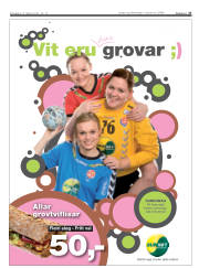 Síða 27