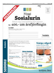 Síða 29