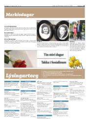 Síða 31