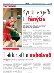 Síða 17