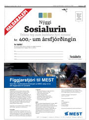 Síða 27