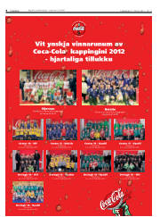 Síða 8
