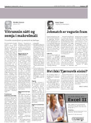 Síða 15
