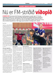 Síða 17