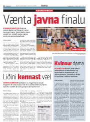 Síða 22