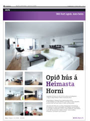 Síða 28