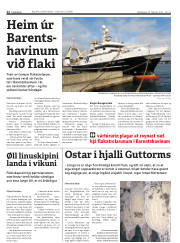 Síða 12