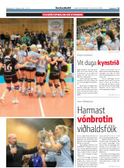 Síða 17