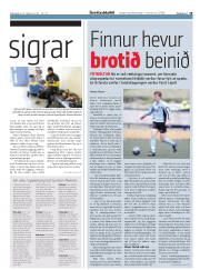 Síða 19