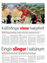 Síða 20