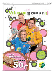 Síða 29