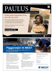 Síða 15