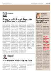 Síða 17