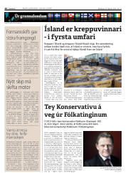 Síða 20