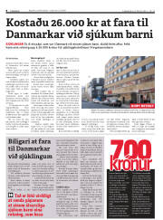 Síða 8