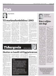 Síða 17