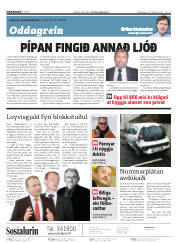 Síða 2