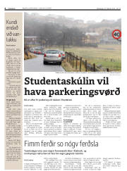 Síða 4