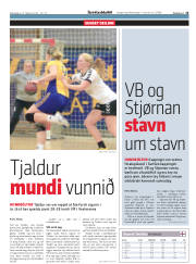 Síða 15