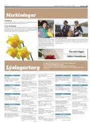 Síða 31