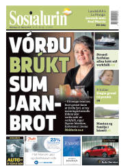 Síða 1
