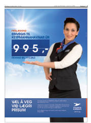 Síða 3
