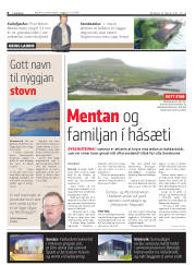 Síða 8