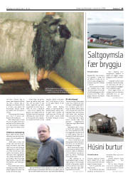 Síða 13
