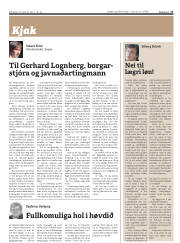 Síða 17