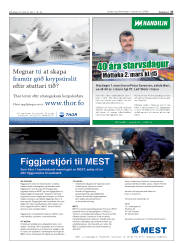 Síða 27