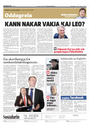 Síða 2