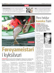 Síða 4