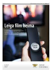 Síða 5