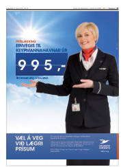 Síða 13