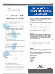 Síða 17