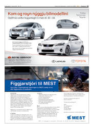 Síða 31