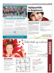 Síða 33