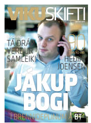 Síða 41