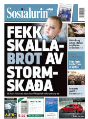 Síða 1