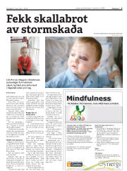 Síða 5