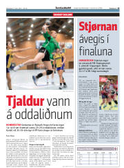 Síða 15