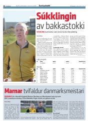 Síða 20