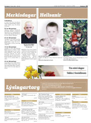 Síða 31