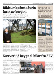 Síða 11