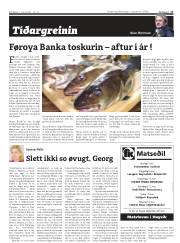 Síða 17