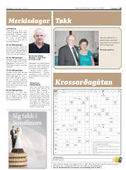 Síða 29