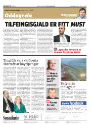 Síða 2