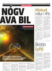 Síða 11