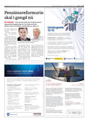 Síða 13