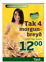 Síða 17